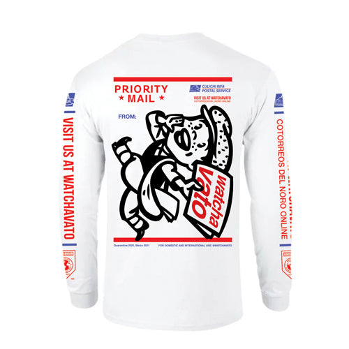 PRIORITY MAIL PAPER BOY